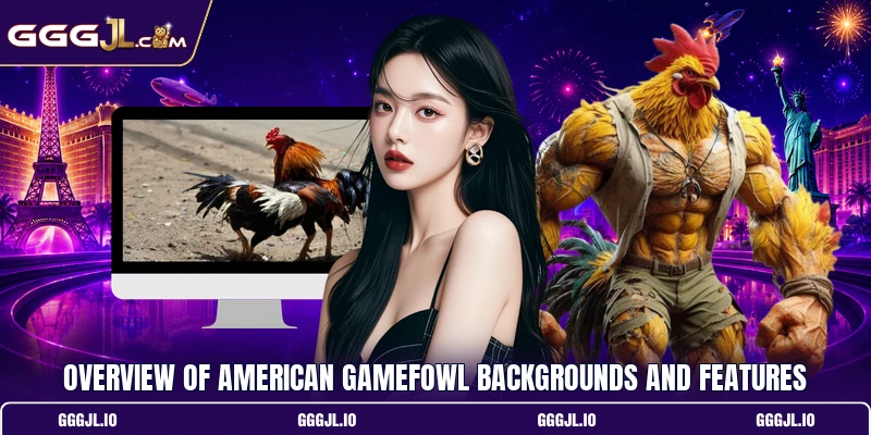 Overview of American Gamefowl backgrounds and features Overview of American Gamefowl backgrounds and features